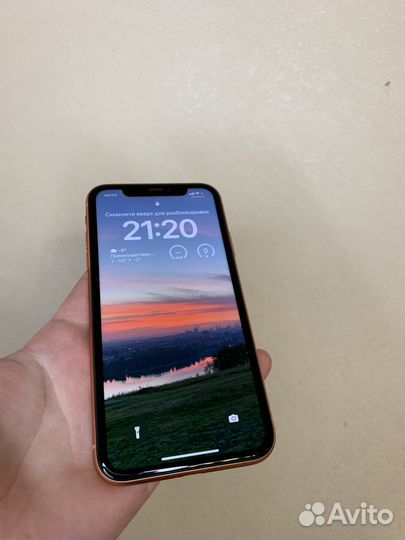iPhone xr