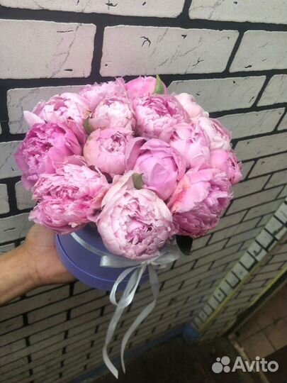 Пионы в коробке букет корзина 1 сентября 8 марта