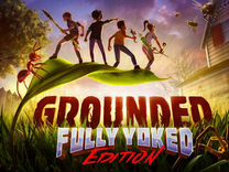 Grounded Steam