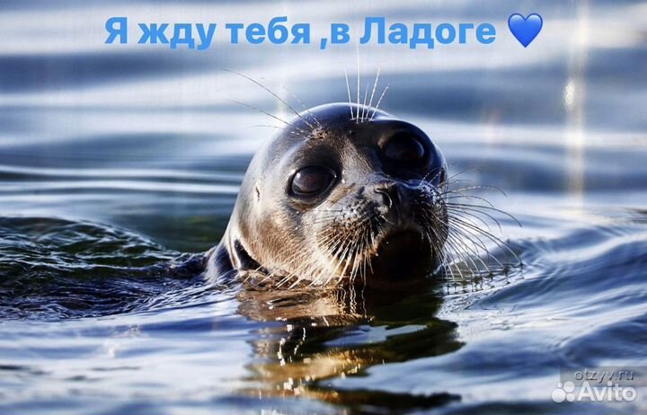Экскурсии в Сортавала, Валаам Шхеры