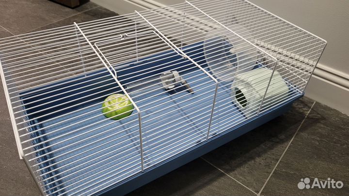 Клетка для грызунов бу