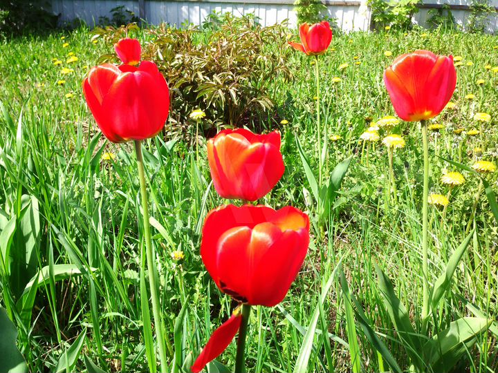 Дом 47 м² на участке 18 сот.