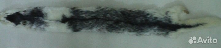 Мех норки шкурки