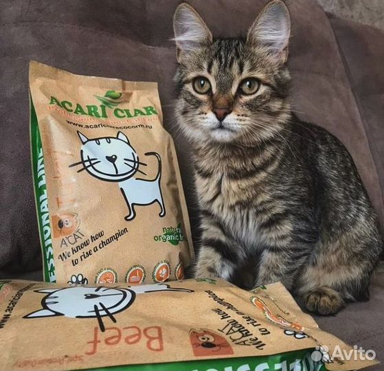 Корм для кошек и котов 