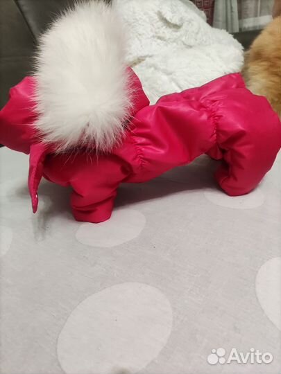Комбинезон зимний для собак мелких пород