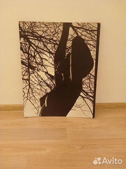 Фото витас луцкус