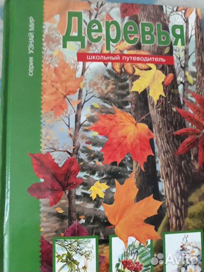 Книга деревья