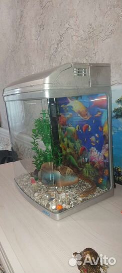 Аквариум