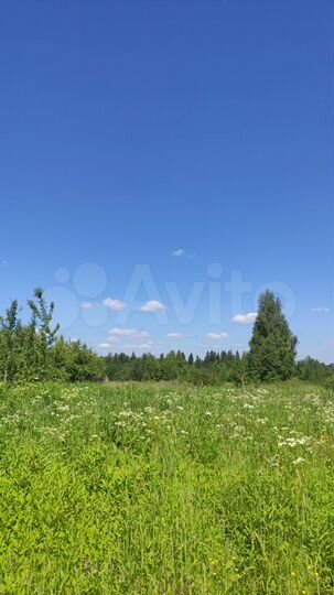 Участок 65 сот. (ИЖС)