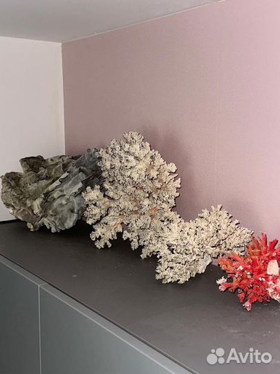 Камень песчанник для аквариума