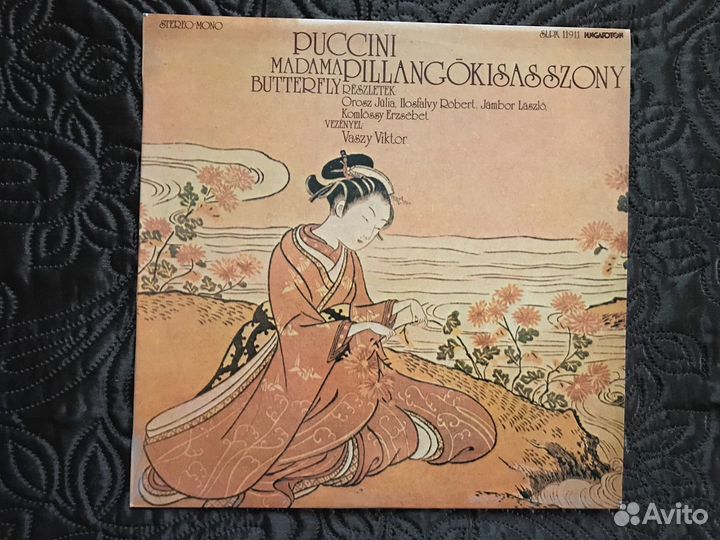 Vinyl disc (виниловые пластинки)