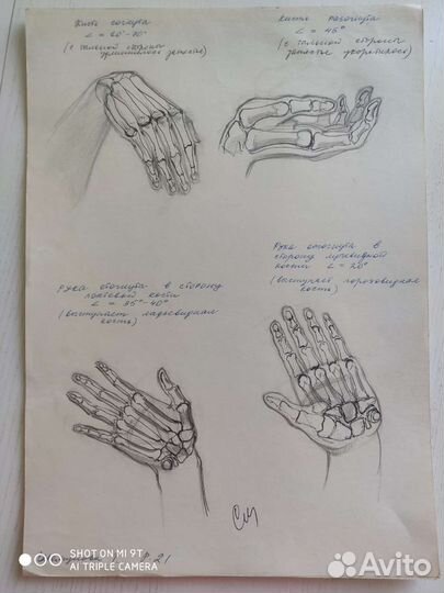 Анатомические рисунки, прошлый век, СССР