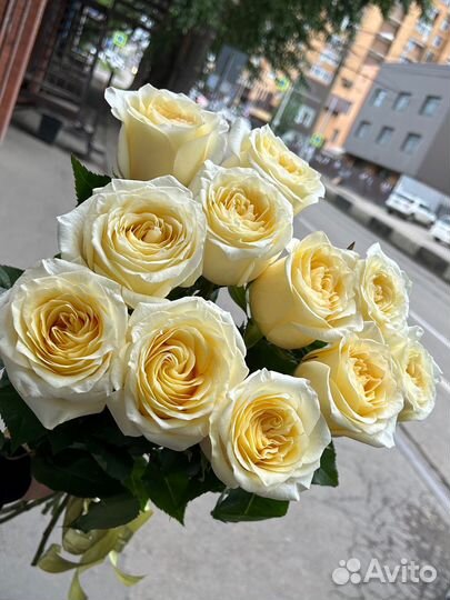 Пионовидные розы Эквадор