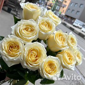Пионовидные розы Эквадор