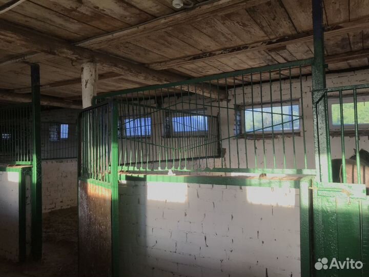 Постой для лошадей