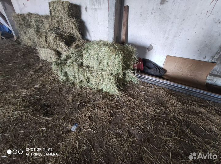 Сено в рулонах и тюках от производителя, 2022 года