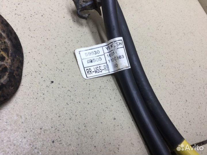 Проводка (коса) задняя левая Kia Optima седан цвет