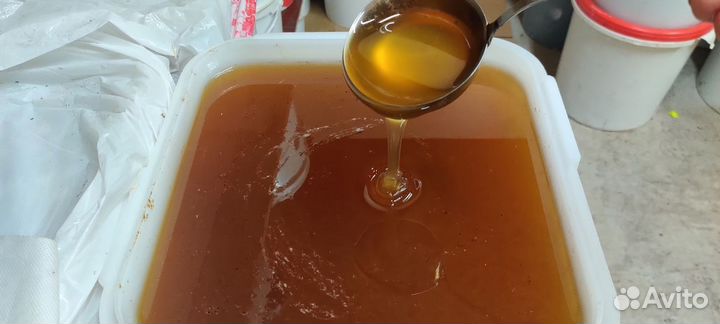 Майский мед оптом свежий