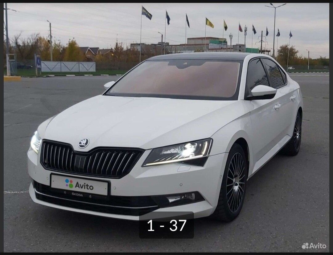 Skoda Superb: фото владельца