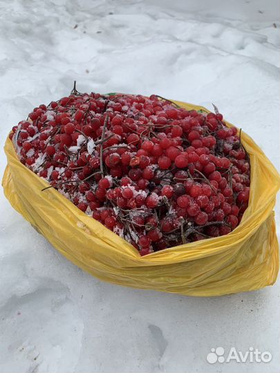 Ягода Калина красная, мороженная