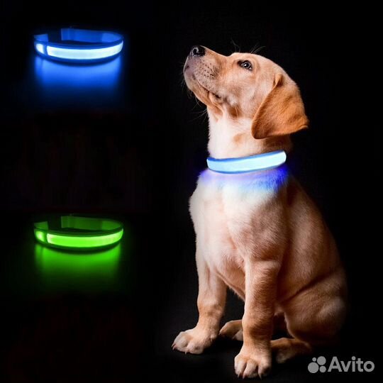 Ошейник для собак светящийся