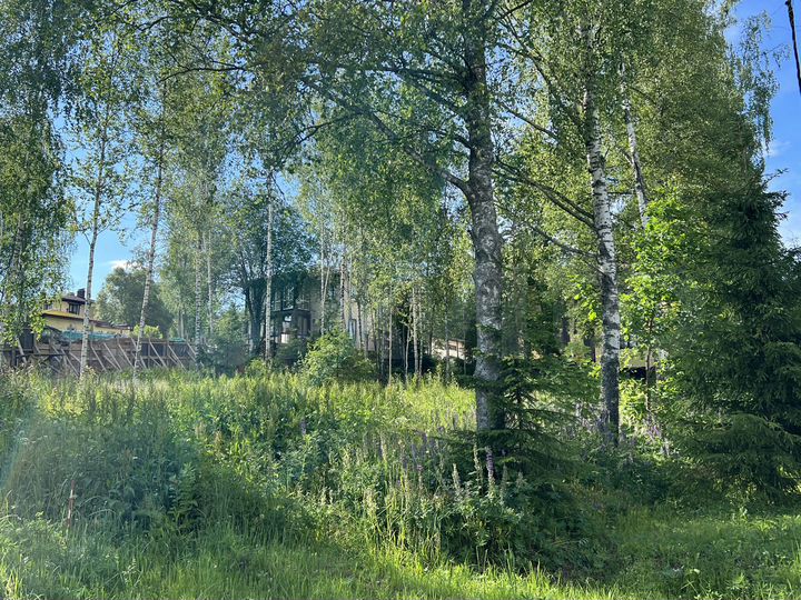 Участок 19,2 сот. (ИЖС)