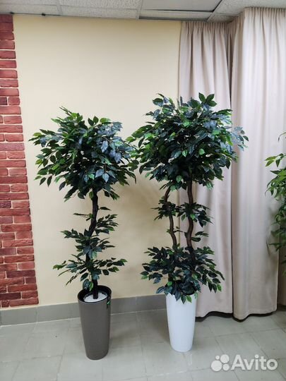 Манго цветок деревья искусственные домой