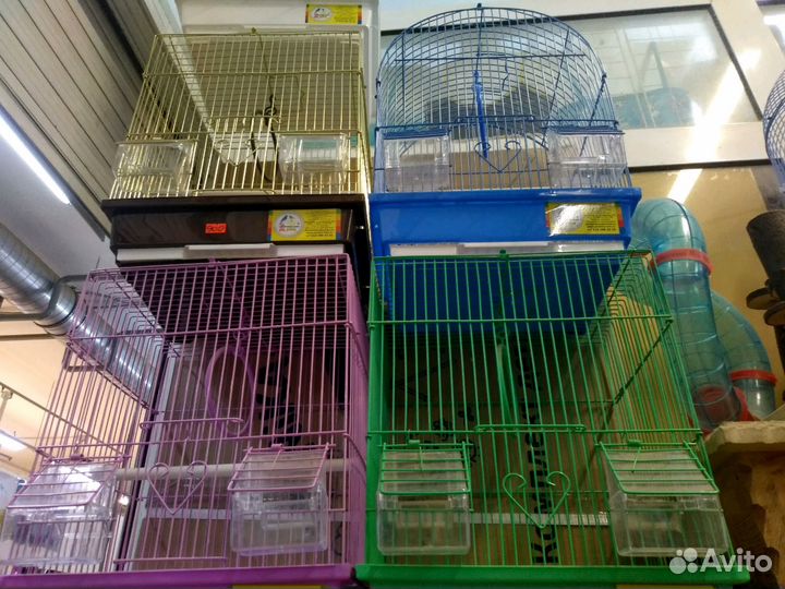Попугаи волнистые и клетки