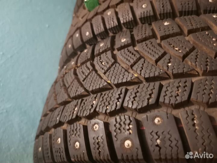 Viatti Bosco Nordico V-523 195/65 R15