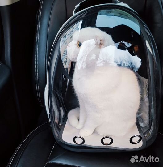 Переноска для животных