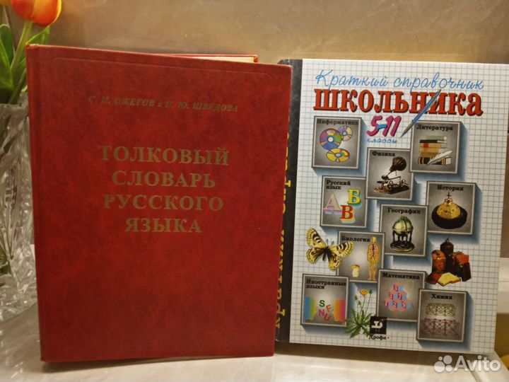 Толковый словарь, справочник школьника 5-11 кл
