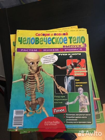 Журнал собери и познай Артема скелет