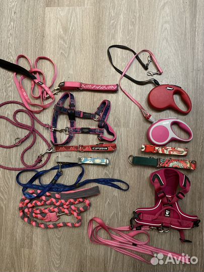 Фрисби, амуниция, инрушки для собак