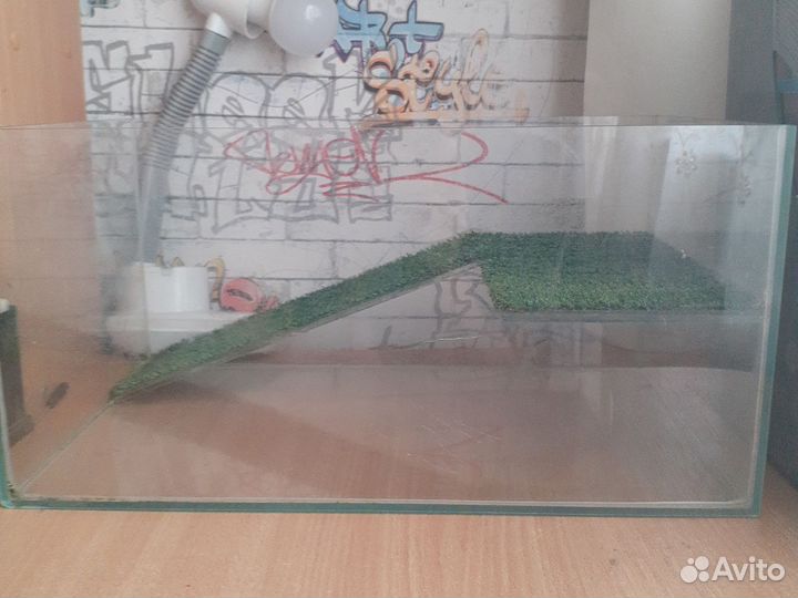 Аквариум для красноухой черепахи