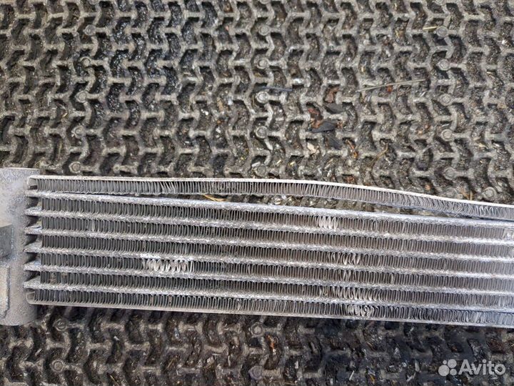 Радиатор масляный Opel Antara, 2012