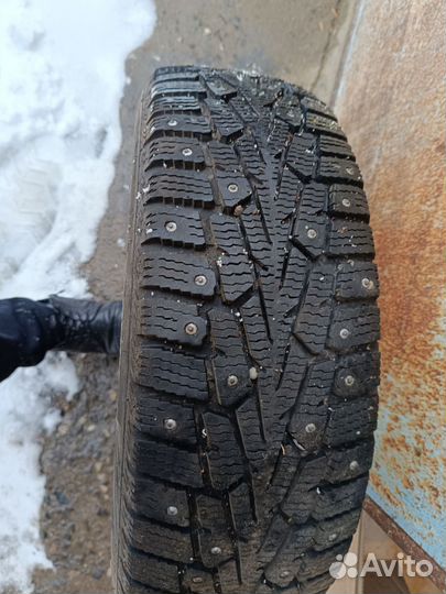 Cordiant Sport 185/65 R15 и 185/65 R15