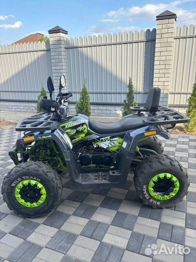 Квадроцикл motoland wild track 200
