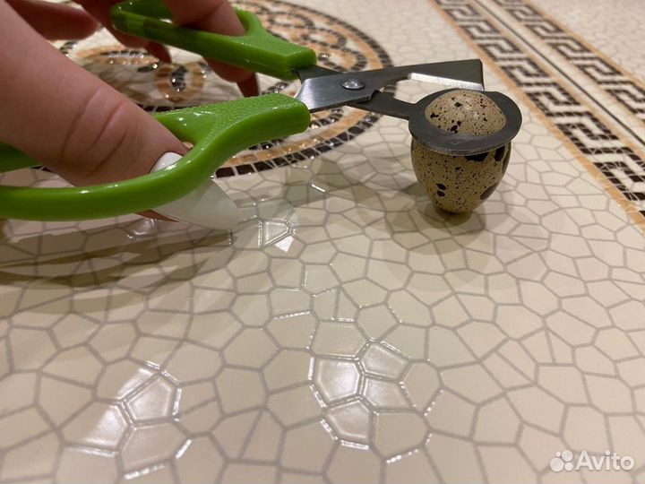 Ножницы для перепелиных яиц