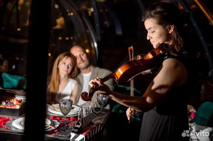 Скрипка на праздник / Скрипач на праздник