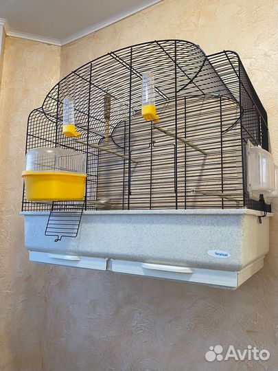 Клетка двойная