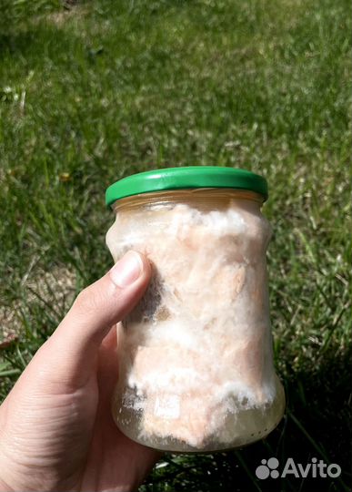 Лосось в собственном соку. Премиум