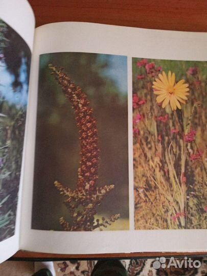 Фотоальбом 