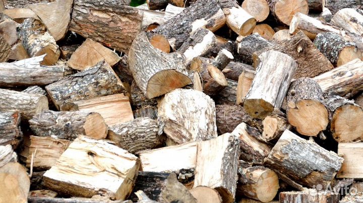 Дрова какие хотите