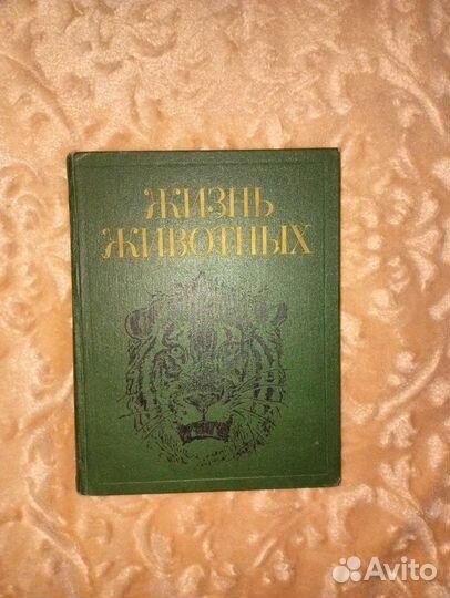 Энциклопедии Жизнь Животных