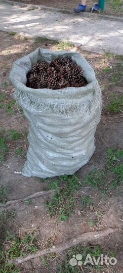 Мульча сосновая кора