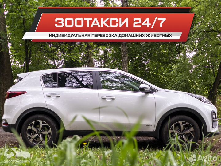 Зоотакси – Перевозка животных (Москва и область)