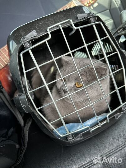 Переноска для животных