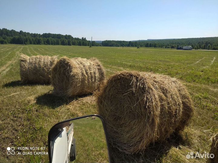 Сено в рулонах