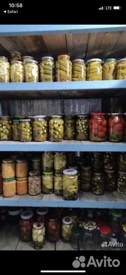 Домашние заготовки-грибочки,соленья,варенья