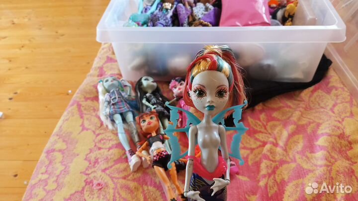 Монстер хай